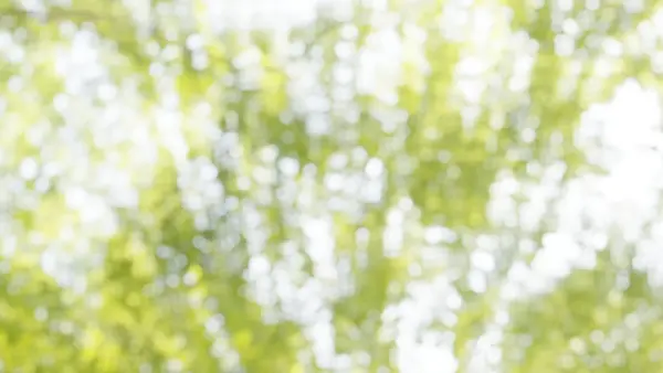 death's dynamic shroud - Fall For Me / Music Video<br>(2023)